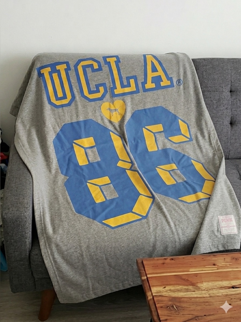 VS PINK VINTAGE Y2K STADIUM BLANKET UCLA BRUINS LOS ANGELES CALI DOG HEART RARE